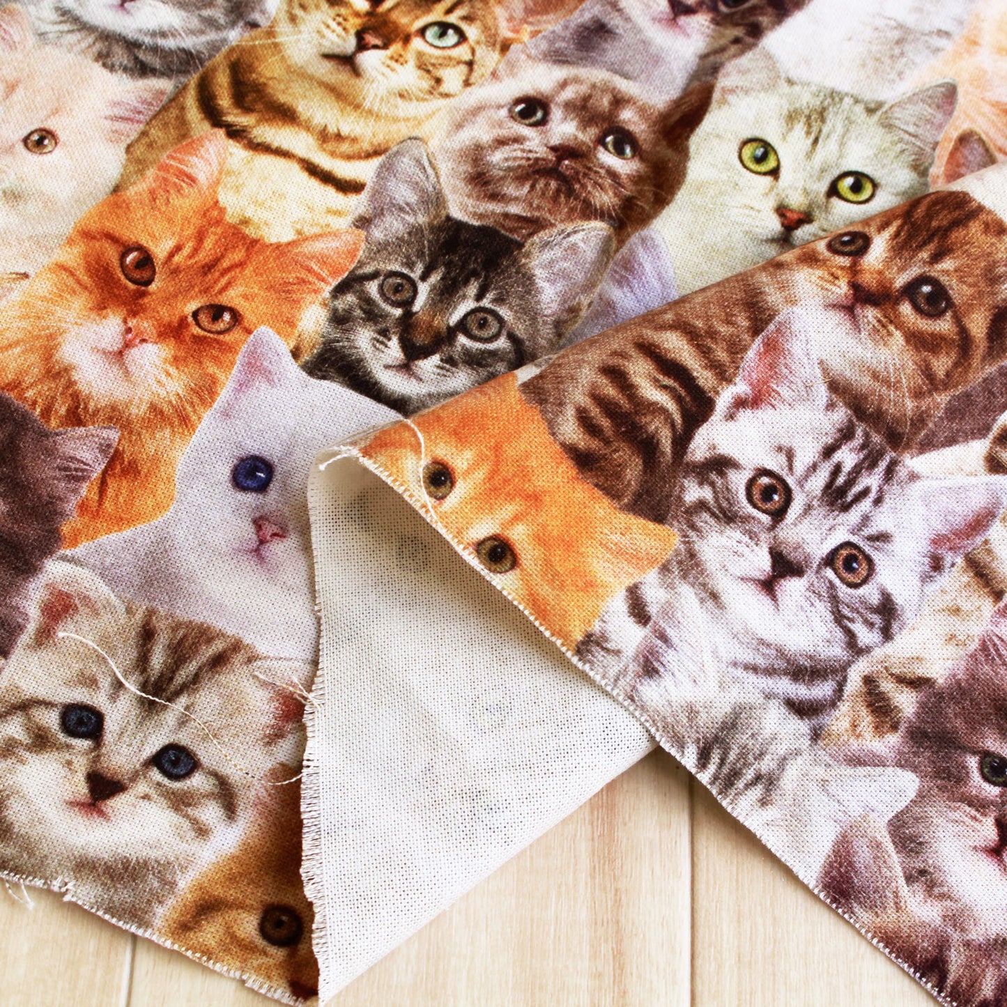 【オランダ輸入】ネコ大集合 デジタルプリント オックス生地 BB1224-180 140cm幅 綿100% 1mカットクロス