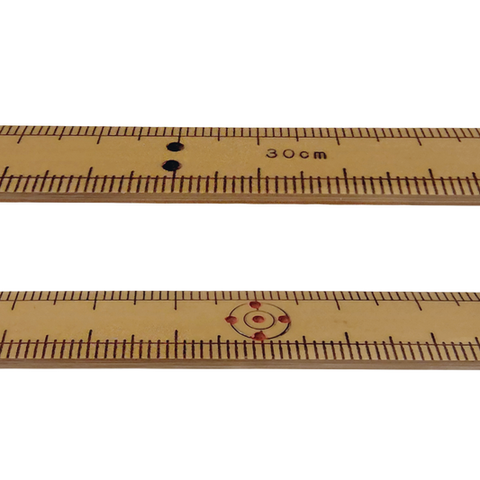 FTAKE 竹差し(竹尺) 細巾 20cm/30cm/cm表記 日本製