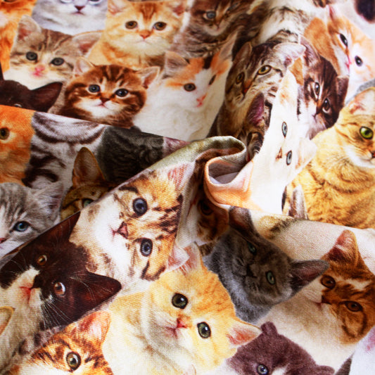 【オランダ輸入】ネコ大集合 デジタルプリント オックス生地 BB1224-180 140cm幅 綿100% 1mカットクロス