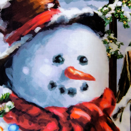 Christmas Wall Hanging Fabric, Snowman, Winter, Timeless Treasures Frosty Delights, Imported Directly from the USA, Panel Fabric, 61 x 112 cm