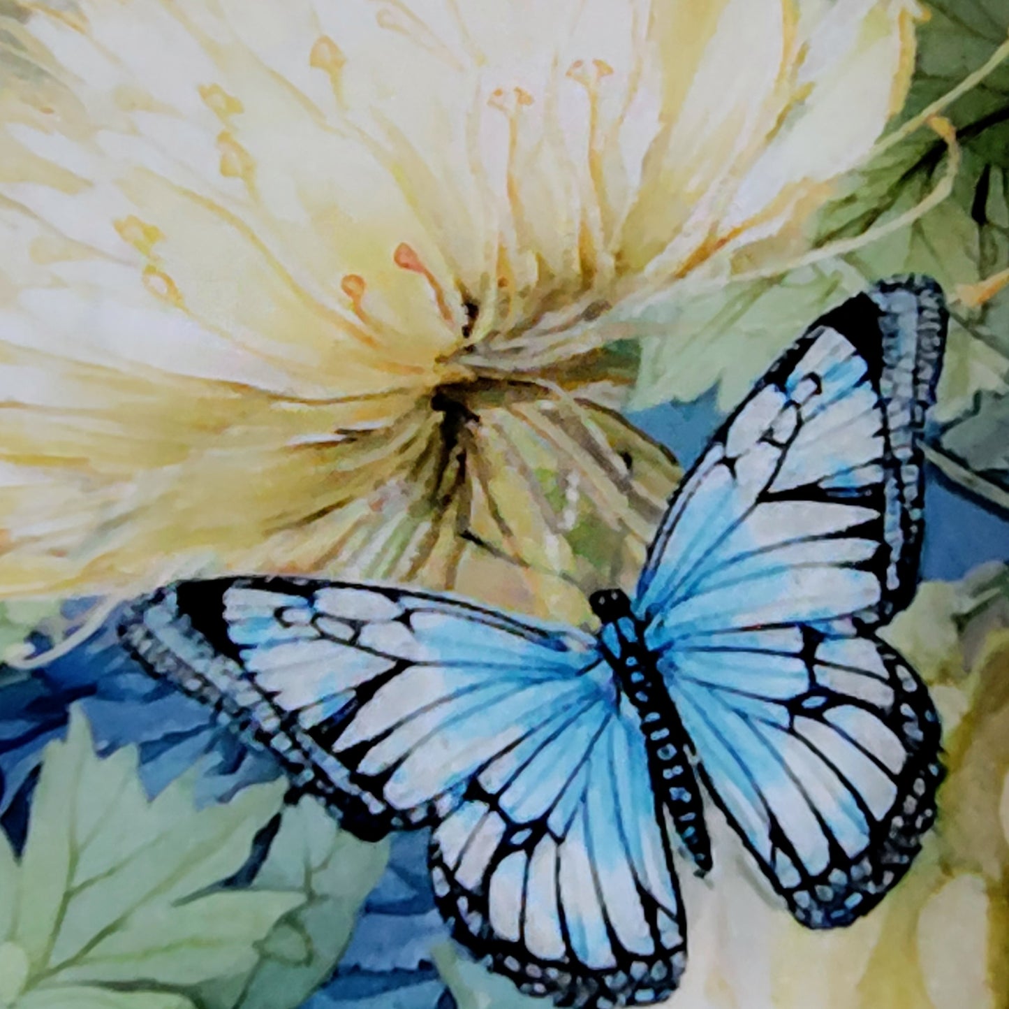 Timeless Treasures Forest Whisper インテリア装飾 壁掛け布 森のささやき 蝶 ボタニカル アメリカ直輸入 パネル生地 61×112cm